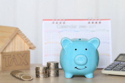 旅游公司起名最新版的