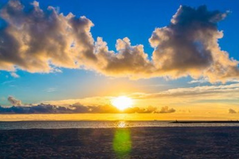 做夢夢見吃雞爪子意味著什么