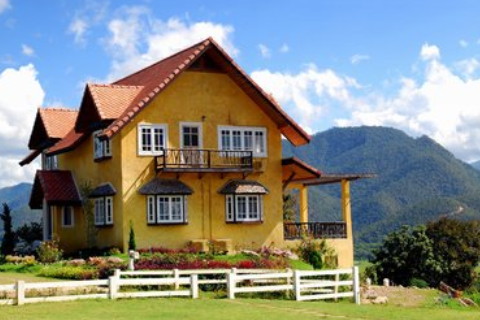 夢見小烏龜好不好