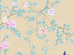 屬猴人2022年的每月運勢