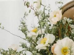 精打細算 隨時審核有沒有浪費的星座