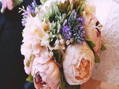 不會吃回頭草的星座