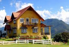 夢見牙齒掉了一半好不好