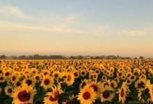 顴骨高鷹鉤鼻的女人事業好有思維