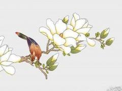 2022年屬兔女的全年運(yùn)勢如何