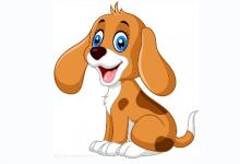 楊柳木命的女人的命運(yùn)