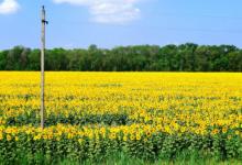 2022年11月29日五行穿衣指南、財神方位、黃歷