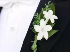 絕對理性 浪漫主義和感性不是這些星座的風(fēng)格