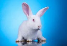 哪些生肖看劇喜歡嗑CP?會(huì)上癮