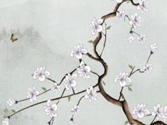 屬馬人虎年運勢2022年桃花運