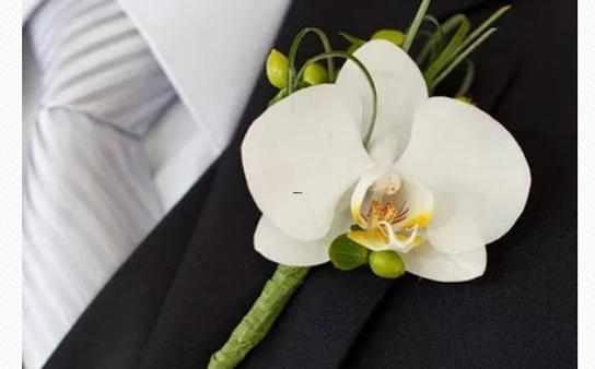 與摩羯座不配的星座