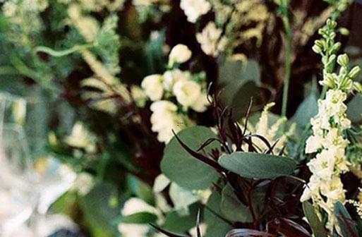 結婚越久 家財越厚的星座 結婚越久 家財越厚的星座