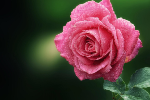 夢幻仙氣的2字網(wǎng)名 好聽星空的兩個字網(wǎng)絡(luò)昵稱