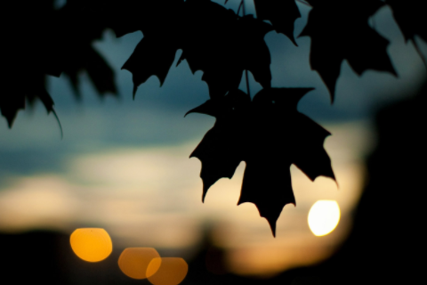 牙齒顆數決定人的命運 旺夫女人的牙齒