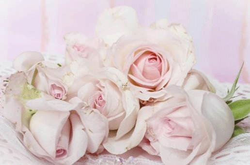 陽歷11月初9什么星座 陽歷11月初9什么星座