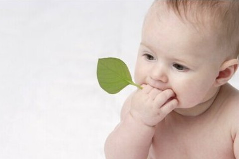 女人面相額頭高是旺夫還是克夫 財運亨通