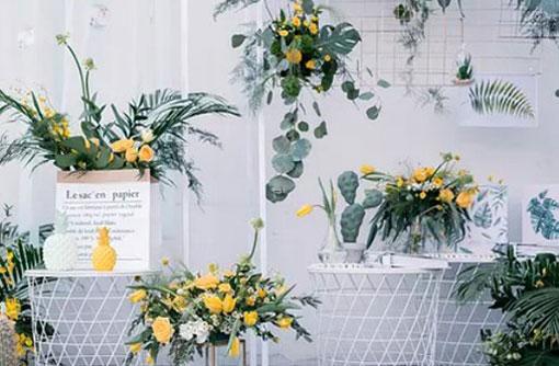 秋天的星座?D片 秋天的星座?D片