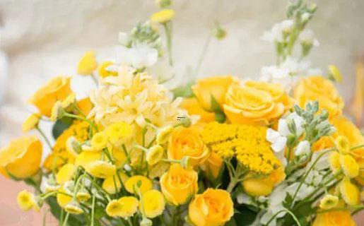 這幾個(gè)星座做事只有三分鐘熱度 這幾個(gè)星座做事只有三分鐘熱度