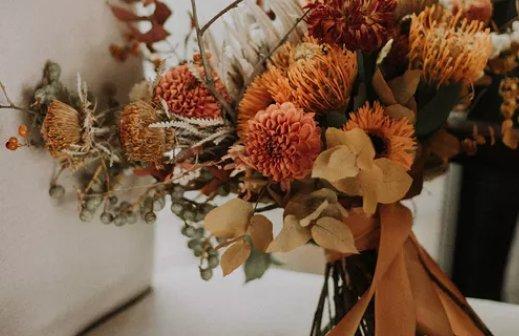 花木蘭應(yīng)該屬于什么星座 花木蘭應(yīng)該屬于什么星座