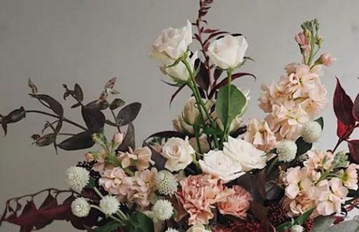 2月2號出生的是什么星座的 2月2號出生的是什么星座的