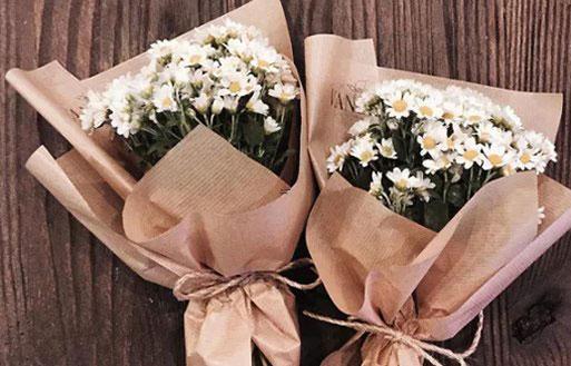 生活比較純粹 不會跟人耍心機的星座 生活比較純粹 不會跟人耍心機的星座