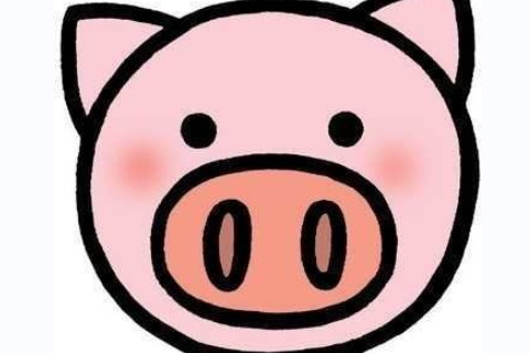 屬豬人和屬虎人配對優缺點是什么?女方強勢