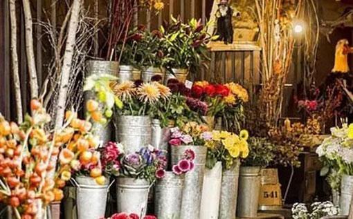 面對被黑 選擇視而不見聽而不聞的星座 面對被黑 選擇視而不見聽而不聞的星座