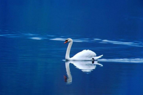 一看就不忘的超市名字 有創意新穎的超市名字