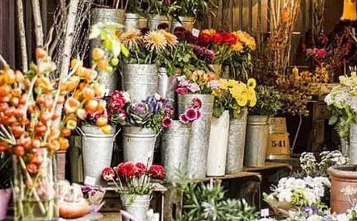 老歷九月十七是什么星座 老歷九月十七是什么星座