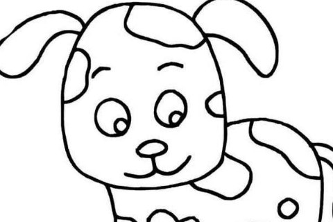 幾月出生的狗是上等命