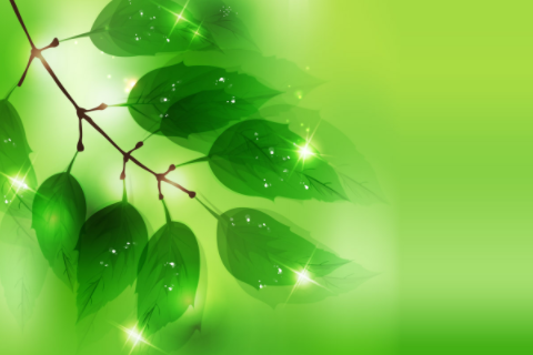 寓意高貴的女生英文名 北歐神話精靈英文名字