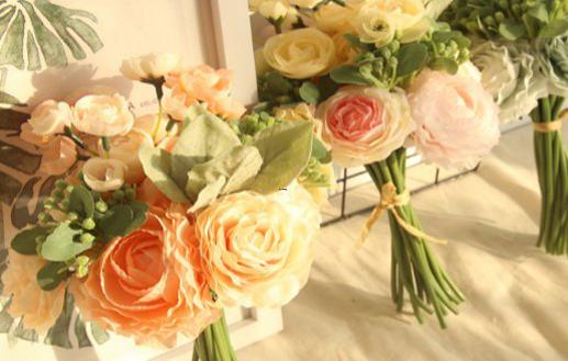 哪些是一等星座