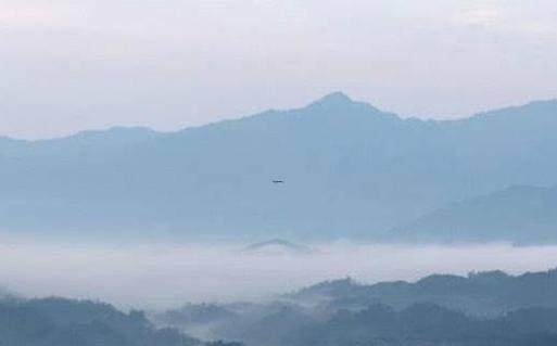 虎年犯太歲的四個屬相 虎年犯太歲的四個屬相