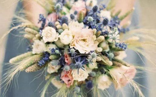 土星落在星座 土星落在星座