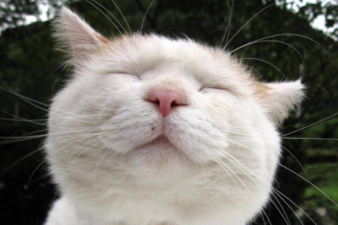 補過生日有忌諱嗎 過生日的風水講究