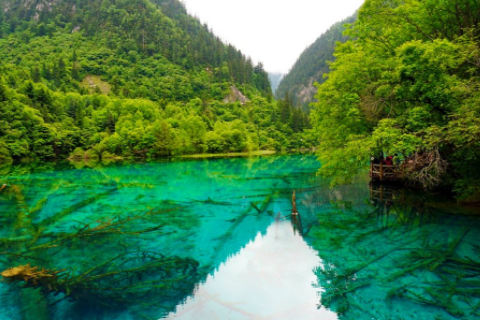 帶軼字好聽的名字大全 大氣美好的含有軼字的名字