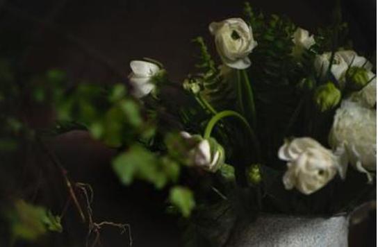 天秤星座好嗎 天秤星座好嗎