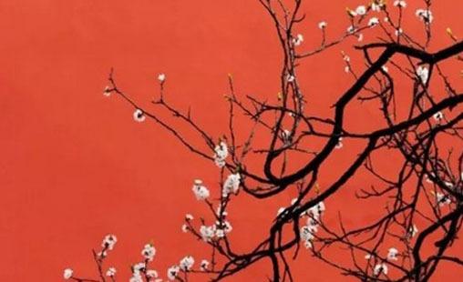 炫字作為名字的寓意 博學(xué)多識