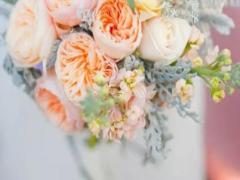 憶苦思甜 哪些星座最懂珍惜呢