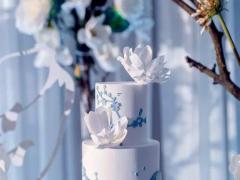 盤點最適合你傾倒苦水的五大星座