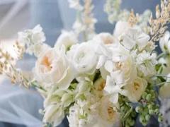 1985年11月26日農(nóng)歷什么星座