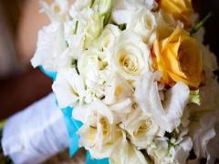 1月初23什么星座