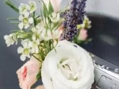 11月6陰歷是什么星座