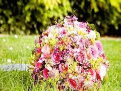 星座守護神來源