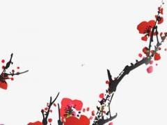 98年屬虎2022本命年運勢