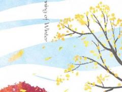 屬虎的女人本命年佩戴什么好