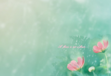 女人夢(mèng)見老鼠跑來(lái)跑去代表什么 夢(mèng)到老鼠爬到身上亂竄