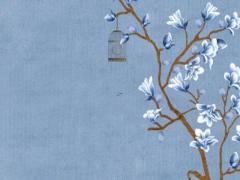 2029年犯太歲最兇的四大生肖