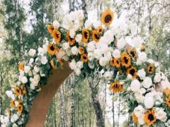 十二星座誰能迷倒誰