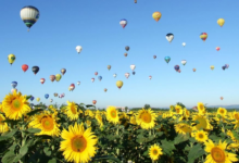 有出息有志氣的伊字名字 帶伊字的女孩名字唯美